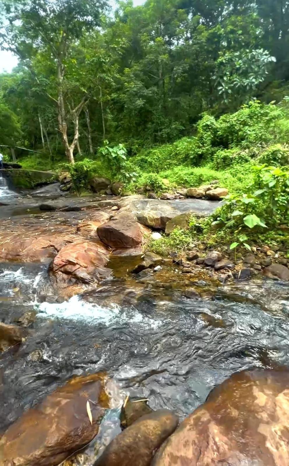 Nest Resorts Athirappilly Eksteriør billede