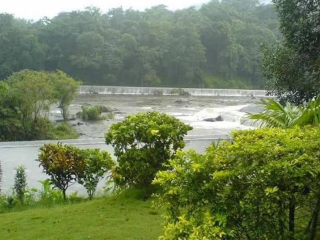 Nest Resorts Athirappilly Eksteriør billede