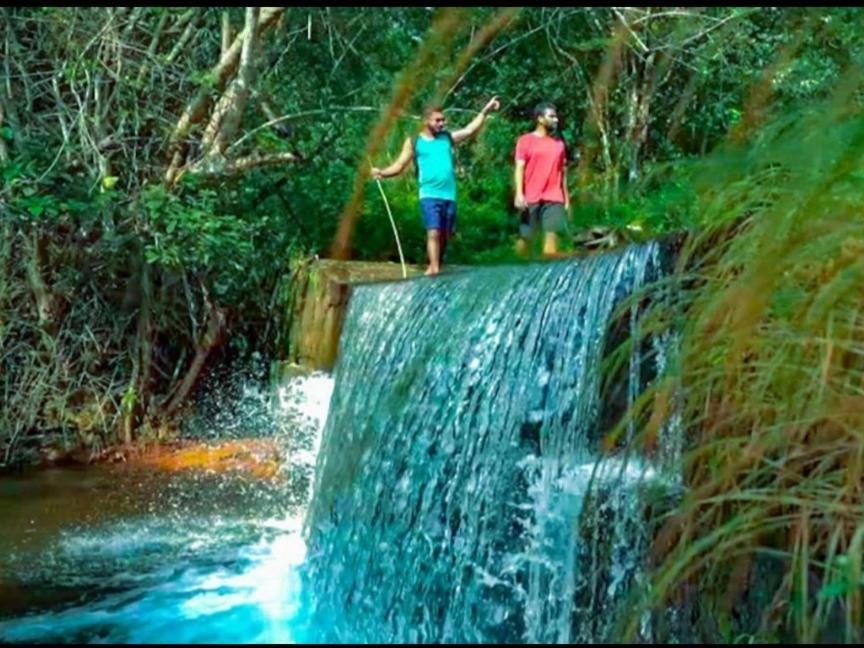 Nest Resorts Athirappilly Eksteriør billede