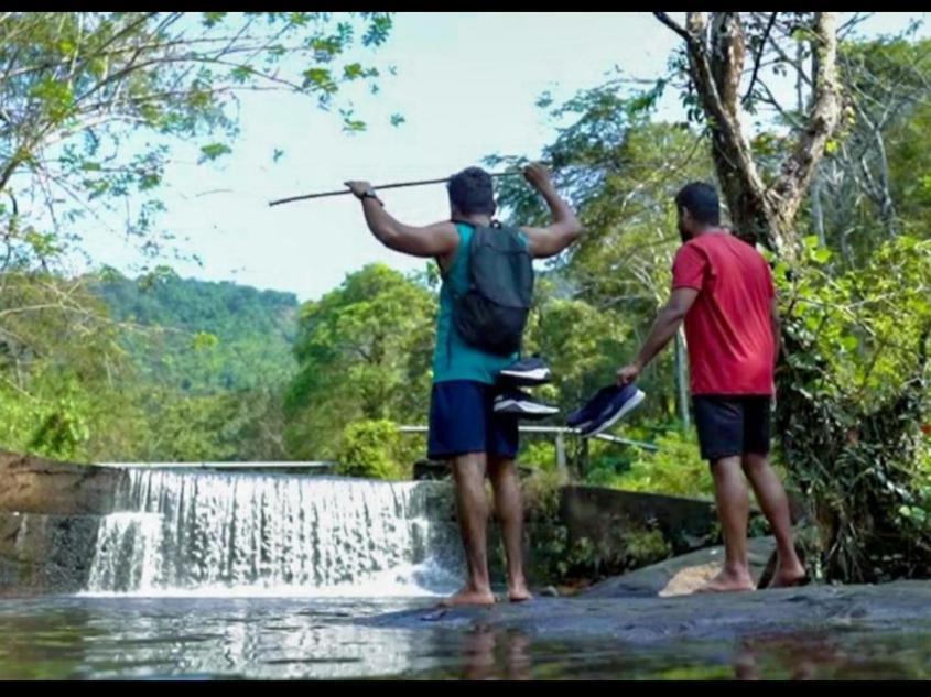 Nest Resorts Athirappilly Eksteriør billede