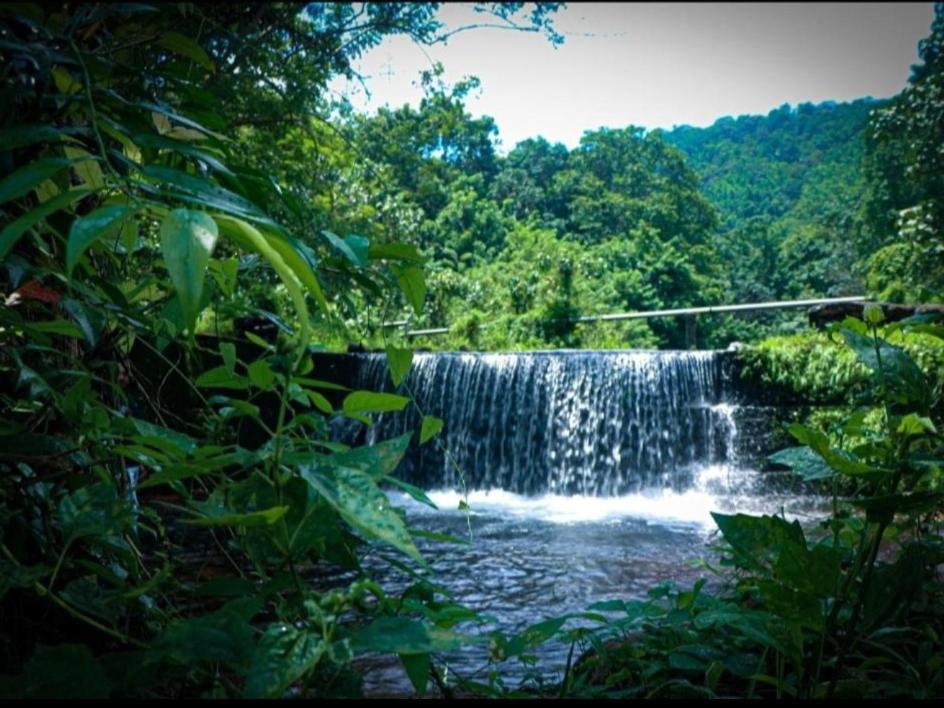 Nest Resorts Athirappilly Eksteriør billede